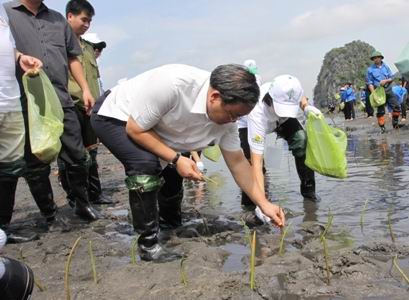 Prosiguen en Vietnam actividades por el Día Mundial del Medio Ambiente